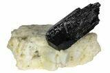 Black Tourmaline (Schorl) Crystal with Orthoclase - Namibia #132189-1